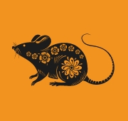 Monthly Feng Shui Horoscope 2024 for Rat